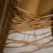 ShaperX shapewear bodysuit collection