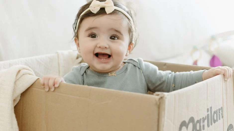 Babylist baby registry website interface