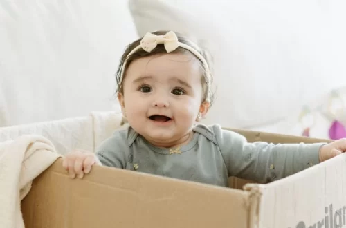 Babylist baby registry website interface