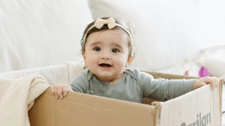 Babylist baby registry website interface